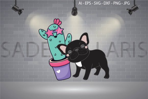 Dog Black and Cactus – A Designer’s Honest Review