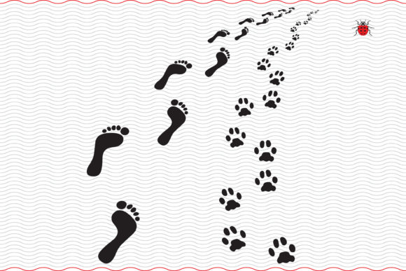 Man Dog Footsteps Prints Silhouettes