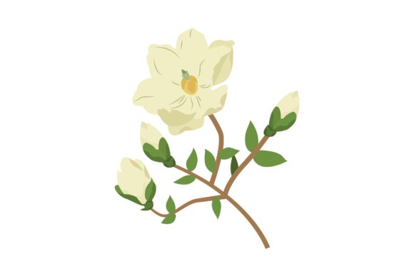 White Dog-Rose Digital Illustration: A Hands-On Review